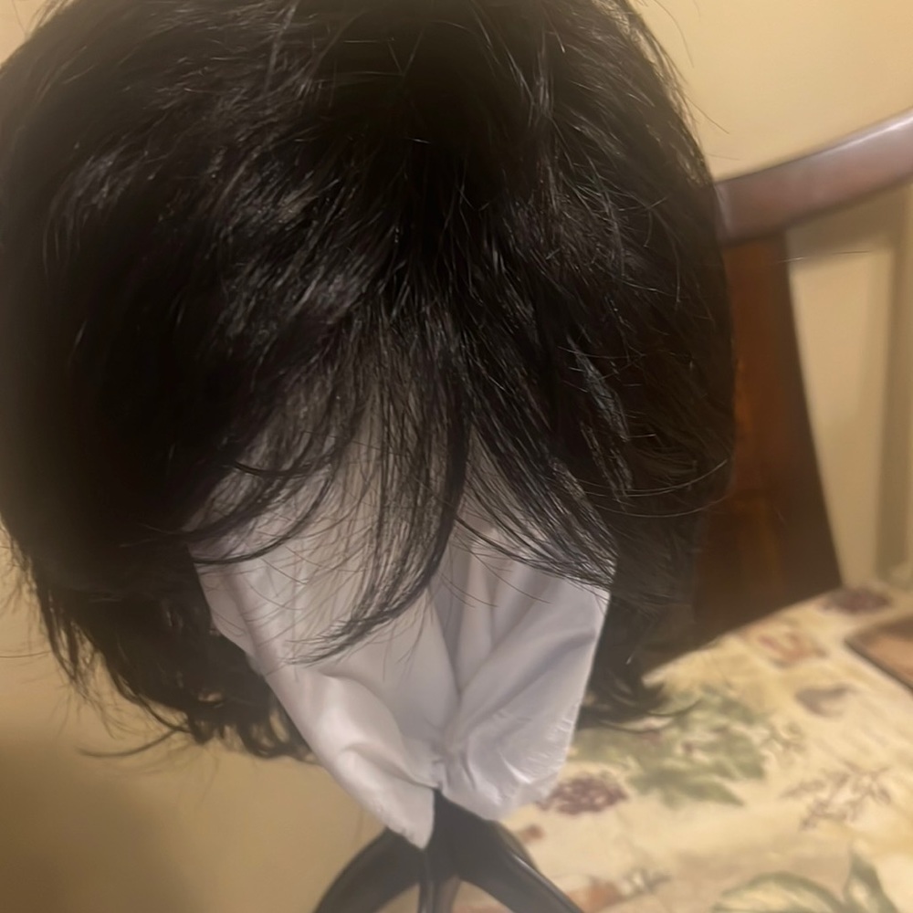 Never worn,beautiful Raquel Welch ,Trend Setter Wig